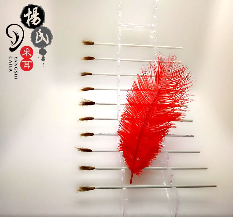 采耳培训工具