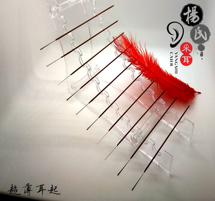超博耳起