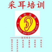 采耳学员