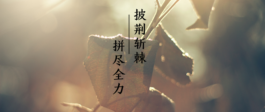 不要迷茫总有一束光为你而亮