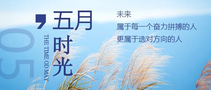 从修脚匠到采耳大咖 承梦IC之都